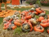 Farbenfroh