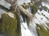 Wasser